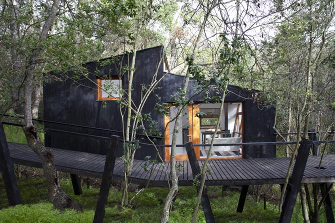 450-sqft "Casa Quebrada" Tiny House in a Chilean Forest