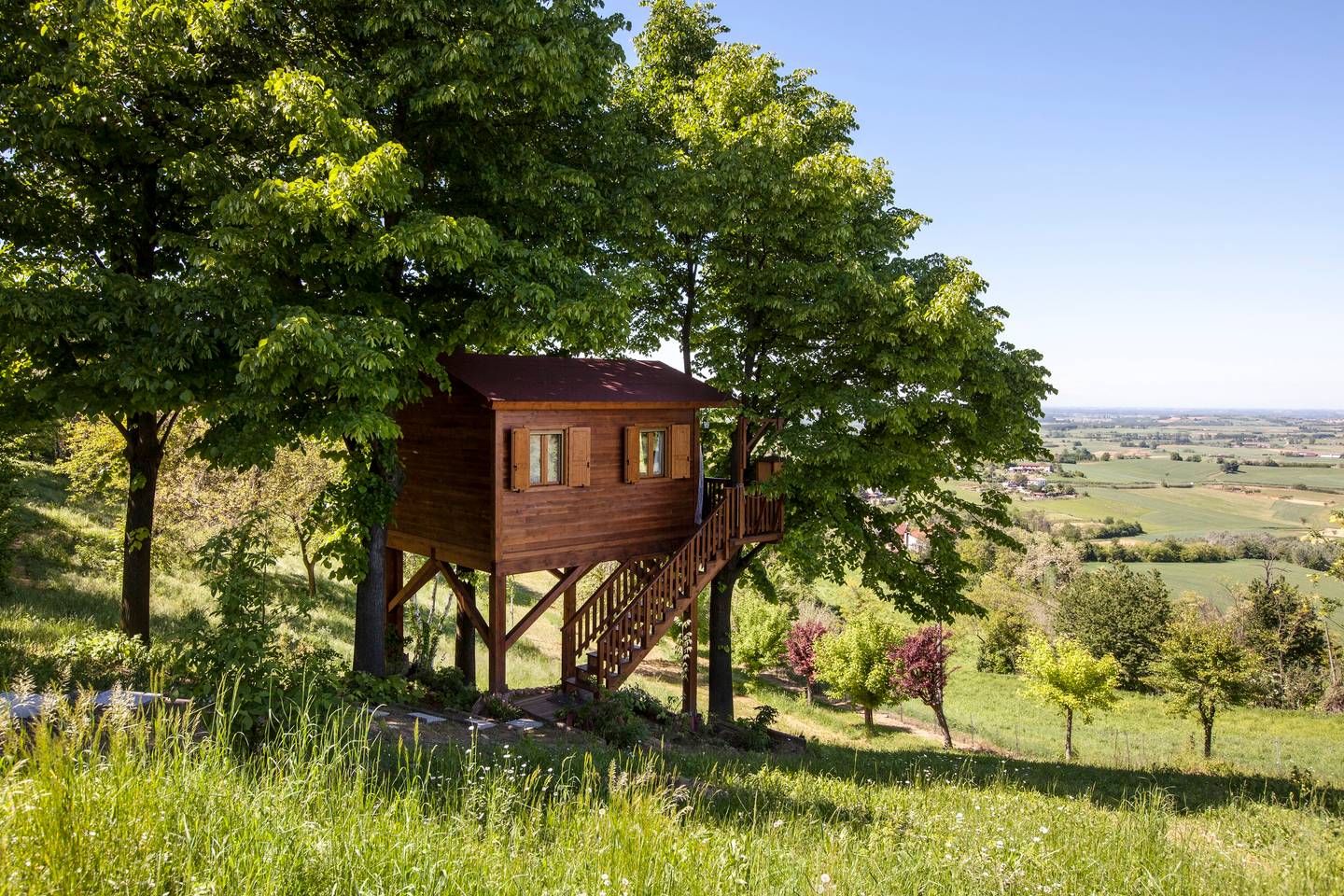 Tiny Treehouse Dream in San Salvatore Monferrato, Italy